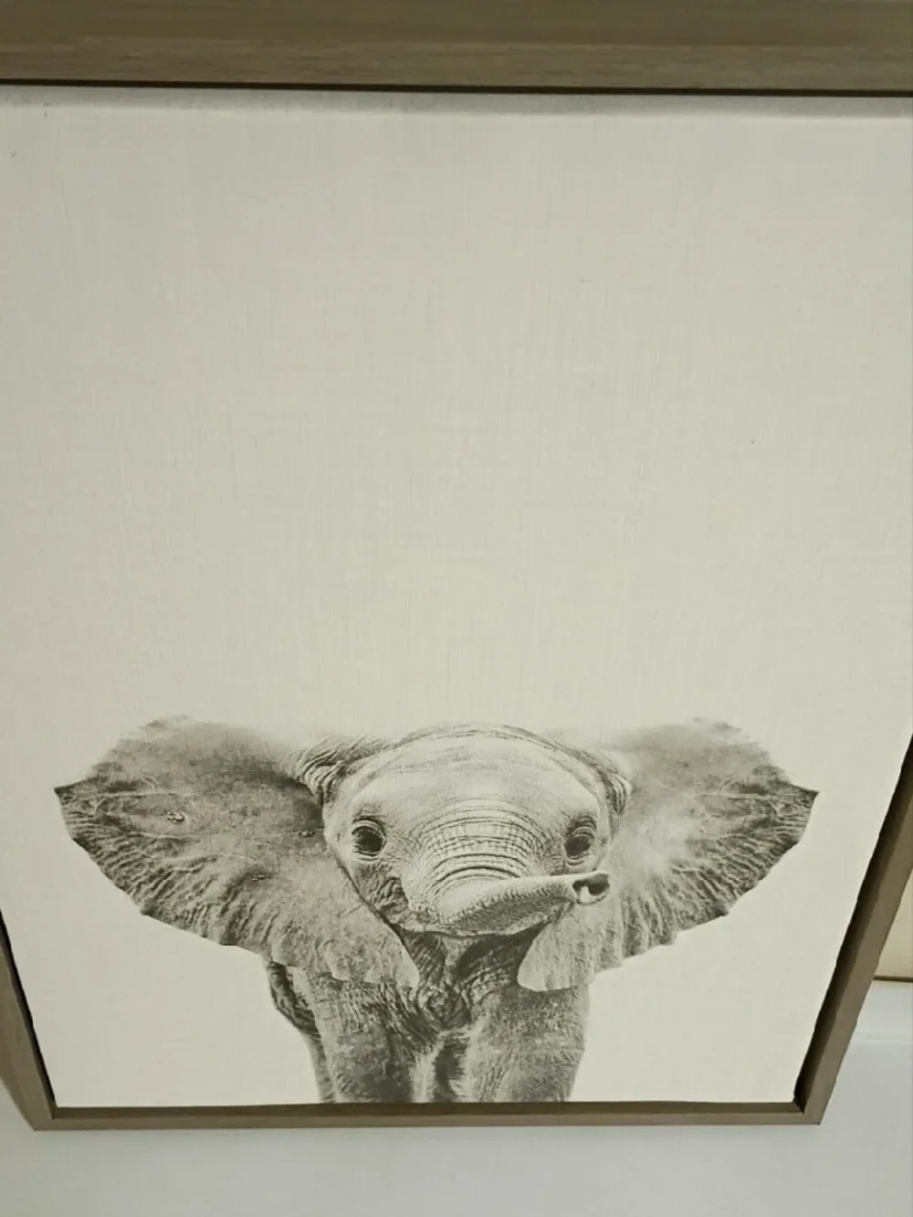 Neutral Gray Elephant Canvas Wall Art